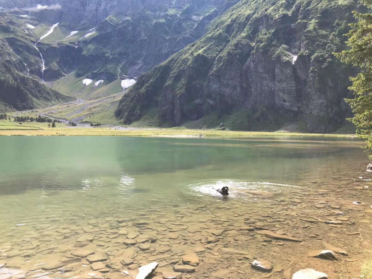 Ferienwohnung Wildkogelblick 布拉保韦德库 外观 照片